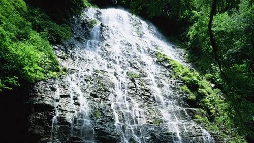 节能绿色智能